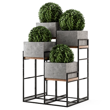 Rustic Outdoor Plants Set: Concrete Pot on Metal Shelf 3D model image 1 