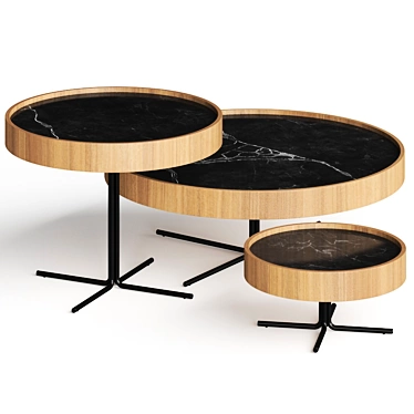 Sergio Batista Regia Coffee Tables 3D model image 1 