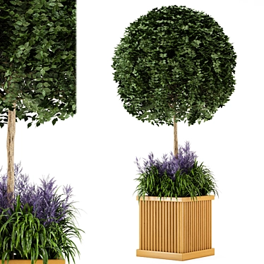 Wooden Pot Bush and Tree Set - Outdoor Plants 3D model image 1 