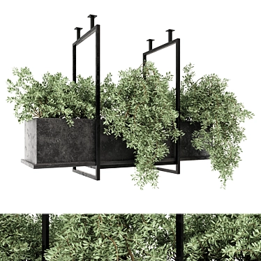 Metal Box Hanging Plants Set 3D model image 1 