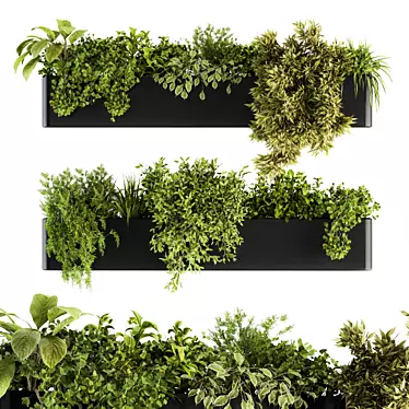 Wildgreen Hangorama - Indoor Hanging Plant Set 3D model image 1 