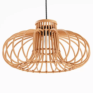 Boho Rattan Pendant Light 3D model image 1 