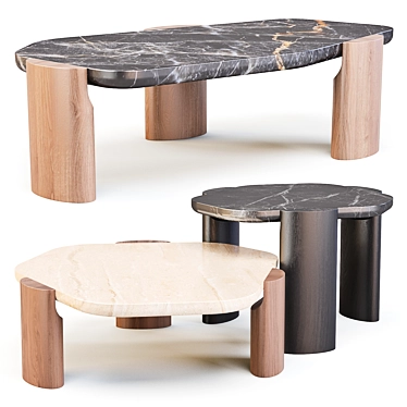 LOB Low: Nature-inspired Coffee & Side Tables 3D model image 1 