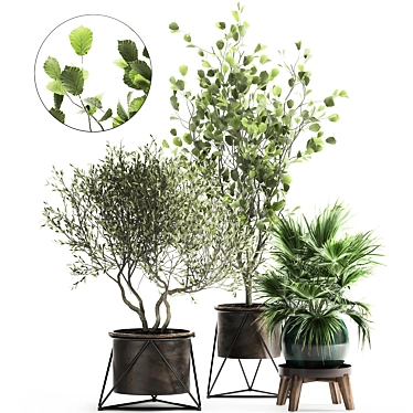 Exotic Metal Pot Plant Collection 3D model image 1 