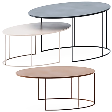 Elegant Irony Coffee Tables 3D model image 1 