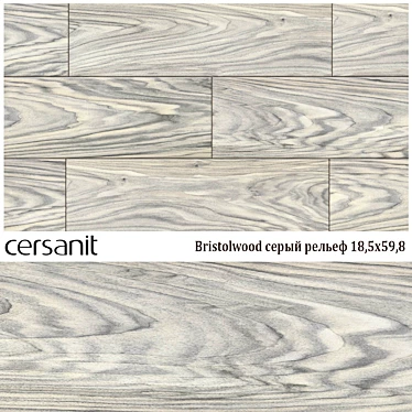 Bristolwood Gray Relief - Elegant Ceramic Tiles 3D model image 1 