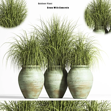 2015 Outdoor Plant Set - Premium Quality 3D model image 1 