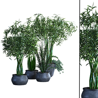 Lush Greenery Collection: Vol 02 3D model image 1 