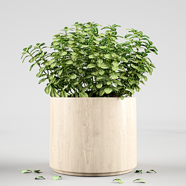 Modern Plant Decor: 22.89cm x 22.11cm x 24.49cm 3D model image 1 