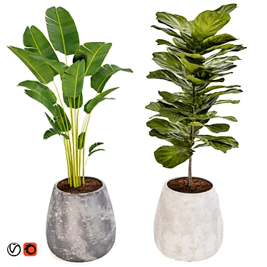 Title: Boho Chic Plant Collection 3D model image 1 