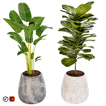 Houseplant Verdun Green