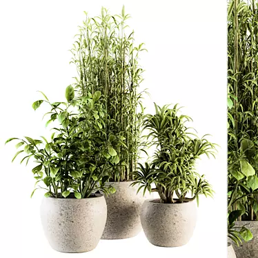 Green Oasis: Indoor Plant Set 3D model image 1 