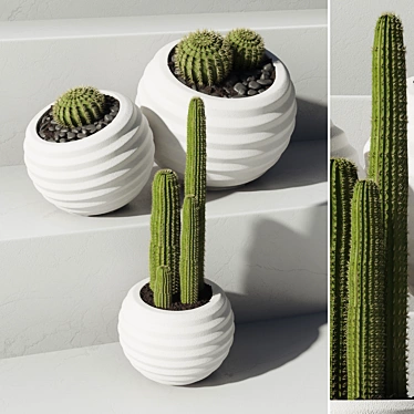 52-Piece Concrete Vase Indoor Plant Collection 3D model image 1 