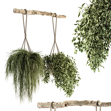 Botanical Bliss - Hanging Plant Set 3D model image 1 