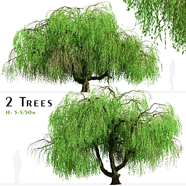 Lush Weeping Willow Trees (Set of 2) 3D model image 1 