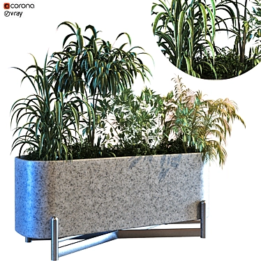 Lush Green Plant Box Set 3D model image 1 