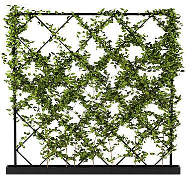 Lush Ivy Plant Set: 3Dmax Models 3D model image 1 