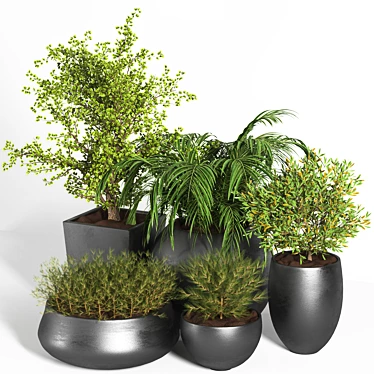 Outdoor Plant Set - 03 | 2015 Version | 3D Model 3D model image 1 