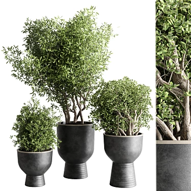 Outdoor Plant Collection: 29 Concrete Vase 3D model image 1 