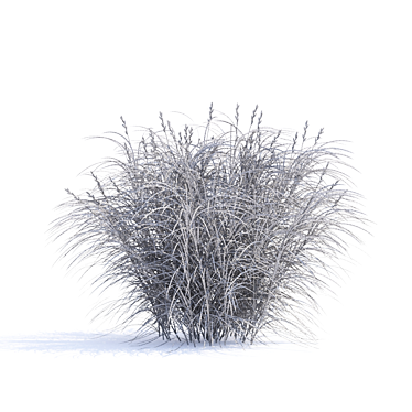 Sedge Palm-Leaved Grass | Carex Muskingumensis 3D model image 1 