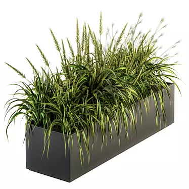 Lush Green Outdoor Grass Kit 3D model image 1 