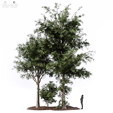 Lush Pine Tree: High-Quality 3D Model 3D model image 1 