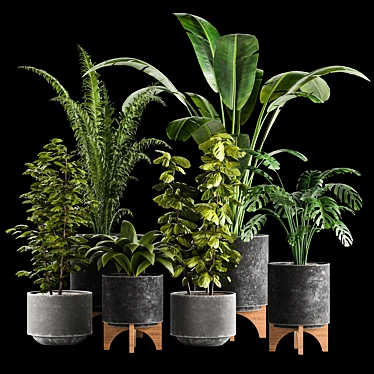 Indoor Plants Collection 3D model image 1 