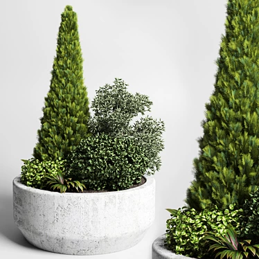 Outdoor Plant Collection: Grass & Thuja Bush in Concrete Vase 3D model image 1 