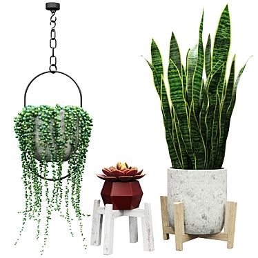 Plant set 2