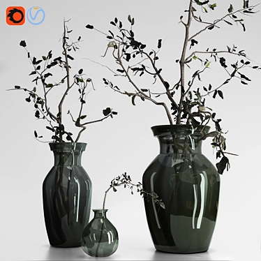 Dried Olive Branch Bouquet in Glass Vase 3D model image 1 