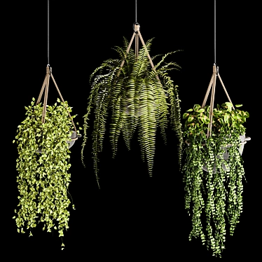 Lush Indoor Hanging Plant Trio 3D model image 1 