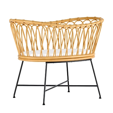 Elegant Rattan Bassinet for Nursery 3D model image 1 