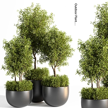 Outdoor Oasis Plant Set 3D model image 1 