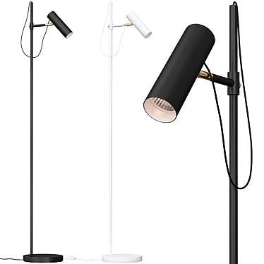 Maytoni Bansky Modern Floor Lamp 3D model image 1 