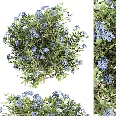 Blue Blossom Set - Set of 31 Bushes 3D model image 1 