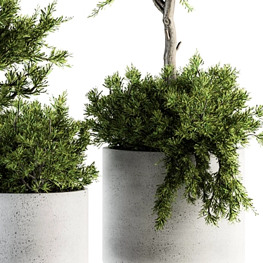 Growth Oasis: Indoor Plant Set 3D model image 1 