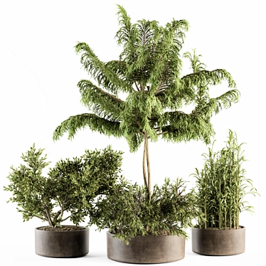 230-Piece Outdoor Plant Pot Set 3D model image 1 