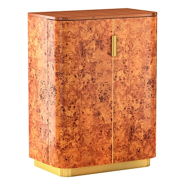 Sleek Burl Wood Entryway Cabinet 3D model image 1 