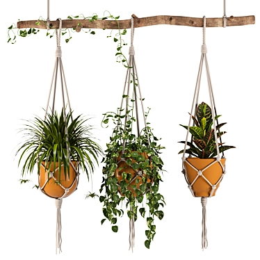 Macrame Hanging Plants Set 3D model image 1 