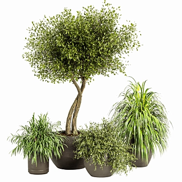 3D Plants Collection 03: Realistic and Detailed 3D model image 1 