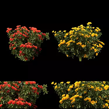 Floral Beauty Collection: Vibrant Flowering Bushes 3D model image 1 