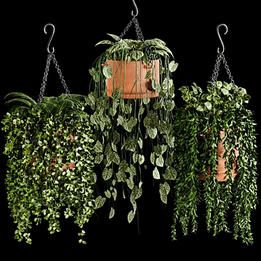 Evergreen Oasis: Hanging Plant Collection 3D model image 1 