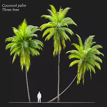 Tropical Majesty: Coconut Palm Trio 3D model image 1 