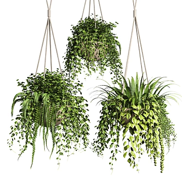 Collection of Hanging Pots for Indoor & Outdoor Plants 3D model image 1 