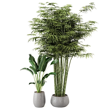 Botanical Oasis - Indoor Plants Set 3D model image 1 