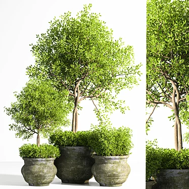 Modish Plant Stand 2015. Botanical Bliss! 3D model image 1 