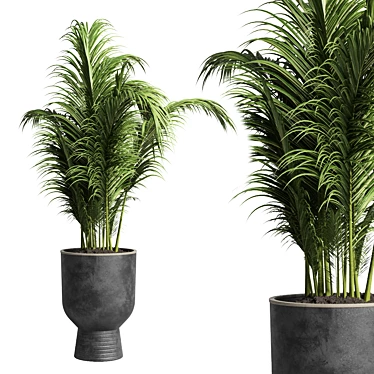 Concrete Palm Tree Vase: Indoor Plant 63 Pot 3D model image 1 