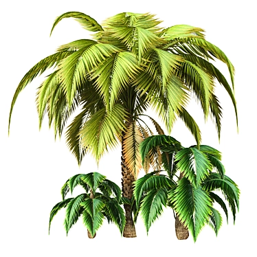Tropical Palm Tree Decor 3D model image 1 