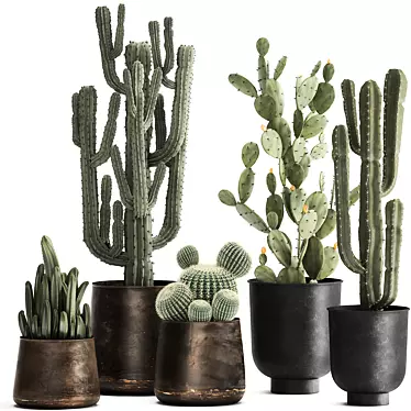 Exotic Cactus Collection in Stylish Metal Pots 3D model image 1 