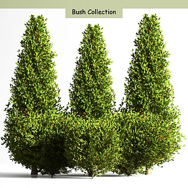 Bush Collection 01: Versatile 3D Model Set 3D model image 1 